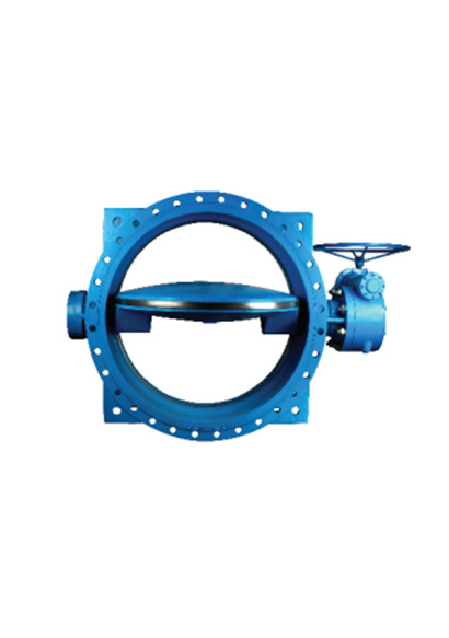Butterfly Valve