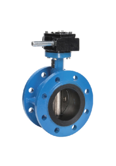Butterfly Valve