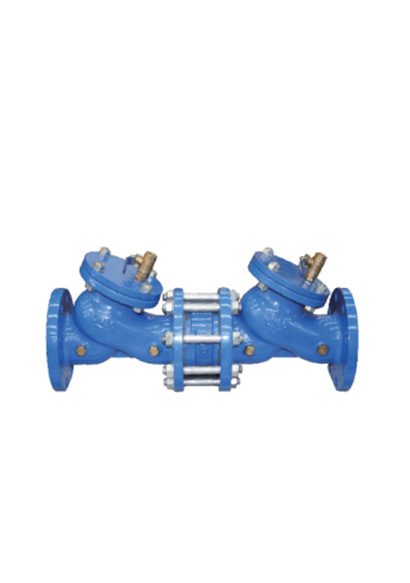 Check Valve
