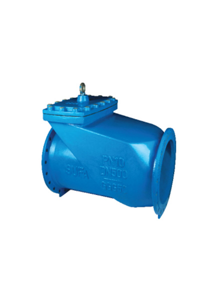 Check Valve
