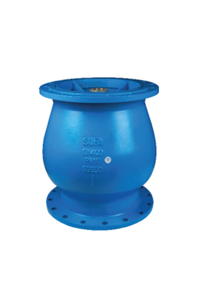 Check Valve