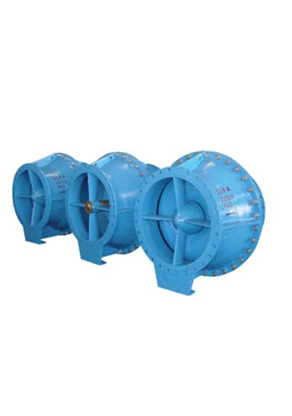 Check Valve