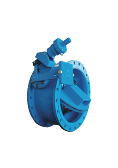 Check Valve