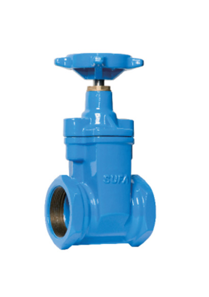 Gate Valve
